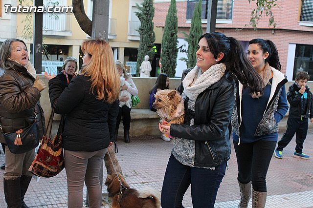 Bendicin animales San Antn 2015 - 220