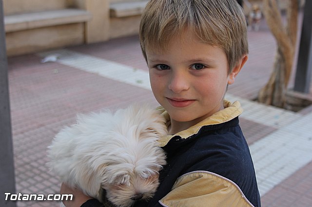 San Antn Totana 2016 - 3