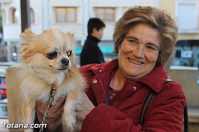 San Antn Totana 2016 - 5