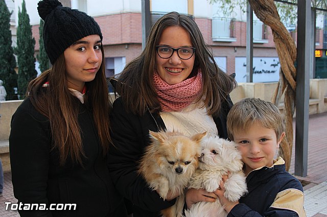 San Antn Totana 2016 - 8