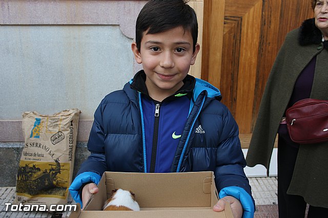 San Antn Totana 2016 - 19