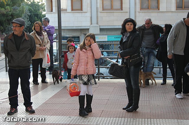 San Antn Totana 2016 - 20