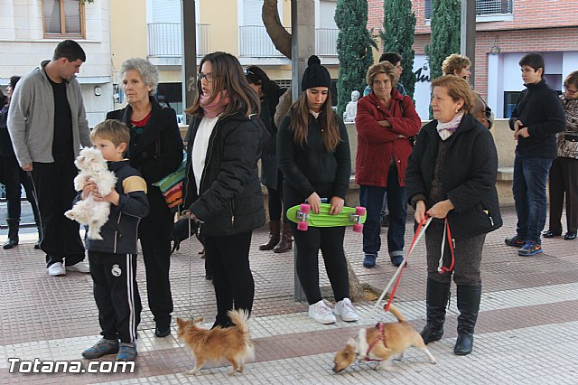 San Antn Totana 2016 - 21