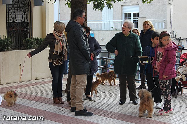 San Antn Totana 2016 - 23