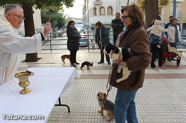 San Antn Totana 2016 - 27