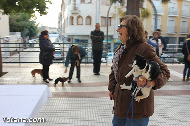 San Antn Totana 2016 - 28