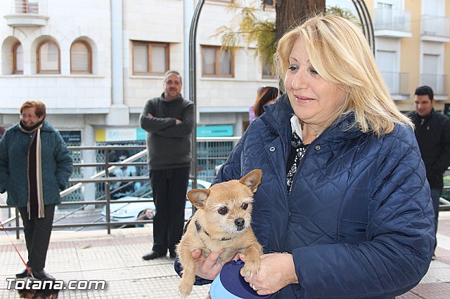 San Antn Totana 2016 - 34