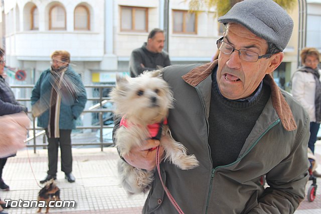 San Antn Totana 2016 - 35