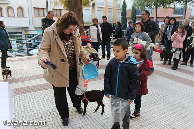 San Antn Totana 2016 - 37