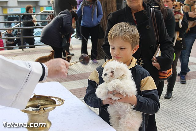 San Antn Totana 2016 - 44