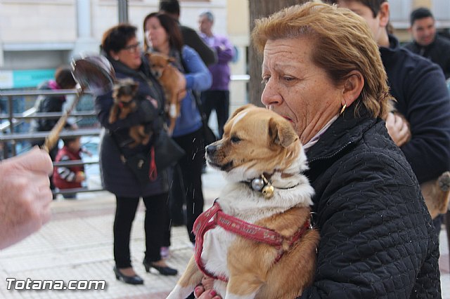 San Antn Totana 2016 - 47