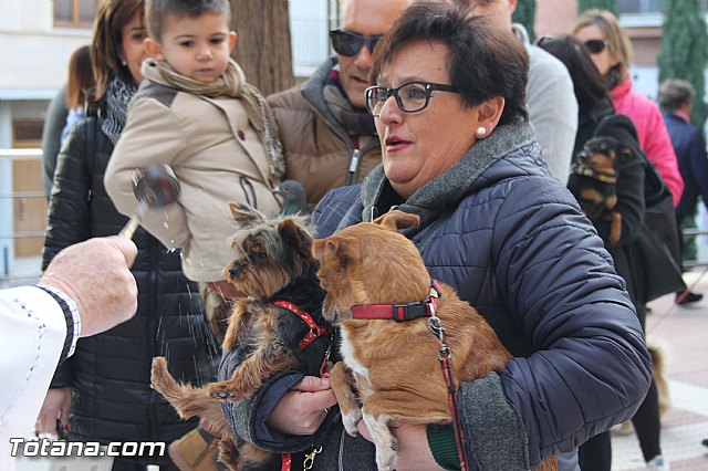 San Antn Totana 2016 - 51