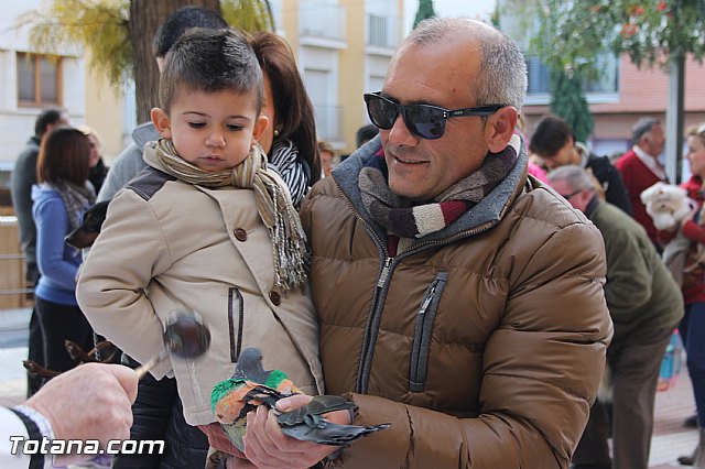 San Antn Totana 2016 - 52