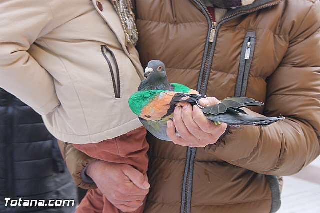 San Antn Totana 2016 - 53