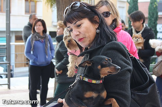 San Antn Totana 2016 - 55