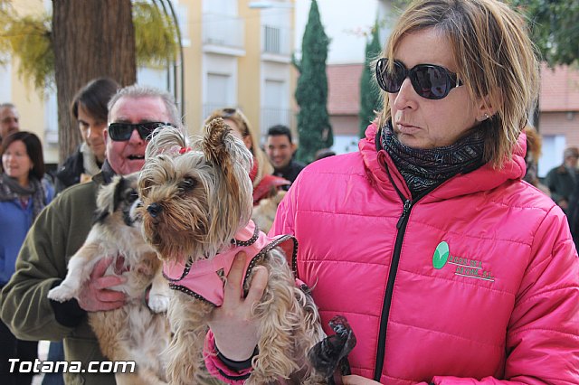 San Antn Totana 2016 - 56