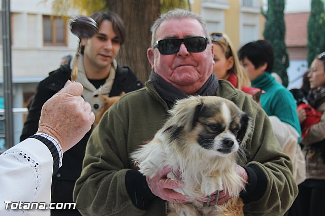 San Antn Totana 2016 - 57