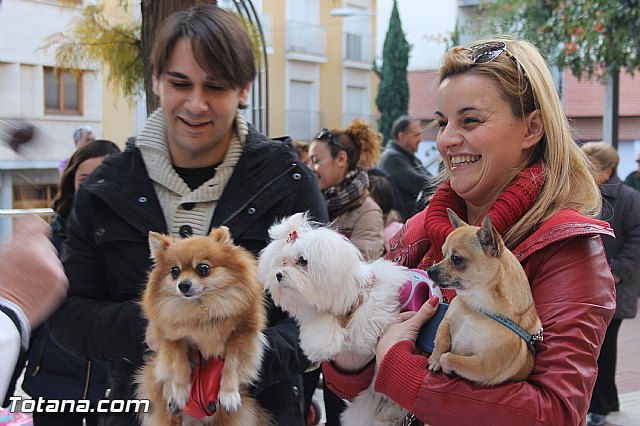 San Antn Totana 2016 - 58