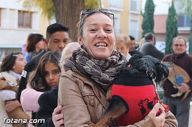 San Antn Totana 2016 - 61