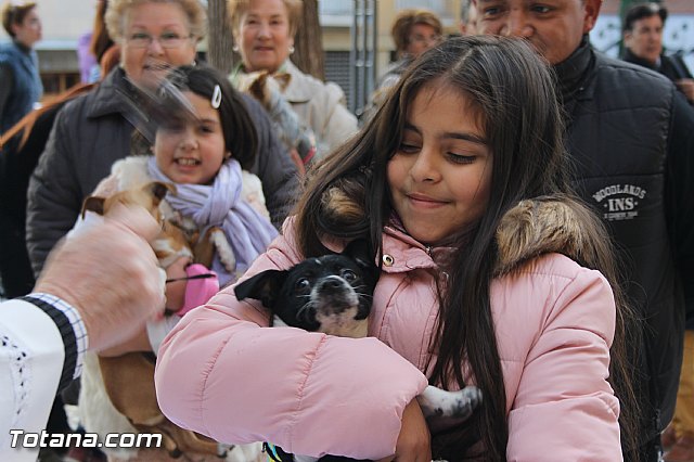 San Antn Totana 2016 - 62