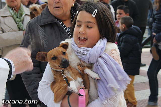 San Antn Totana 2016 - 63