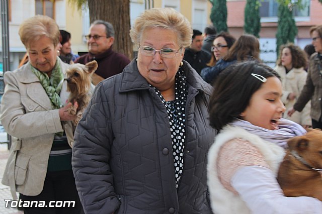 San Antn Totana 2016 - 64