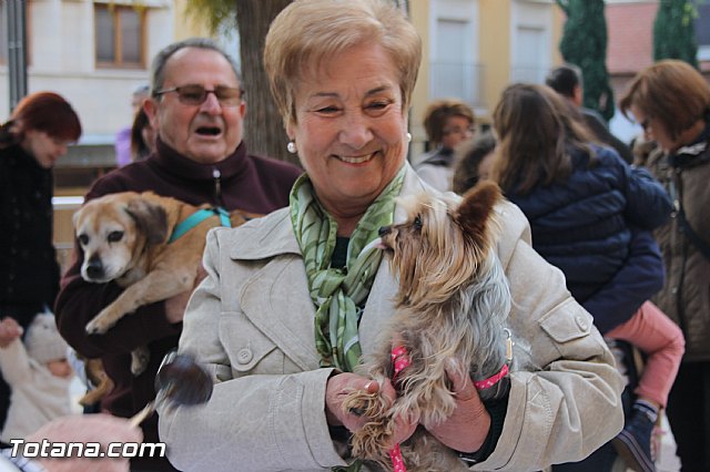 San Antn Totana 2016 - 65