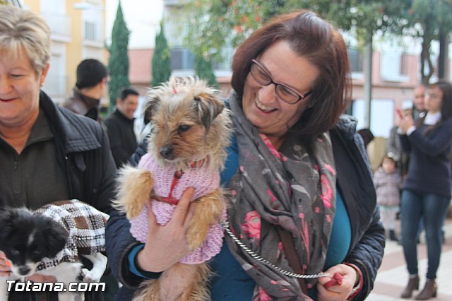 San Antn Totana 2016 - 70