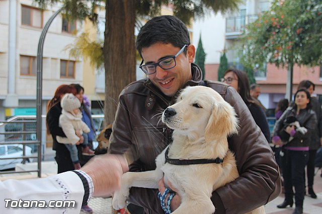 San Antn Totana 2016 - 74