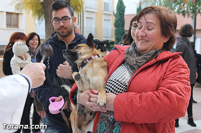 San Antn Totana 2016 - 75