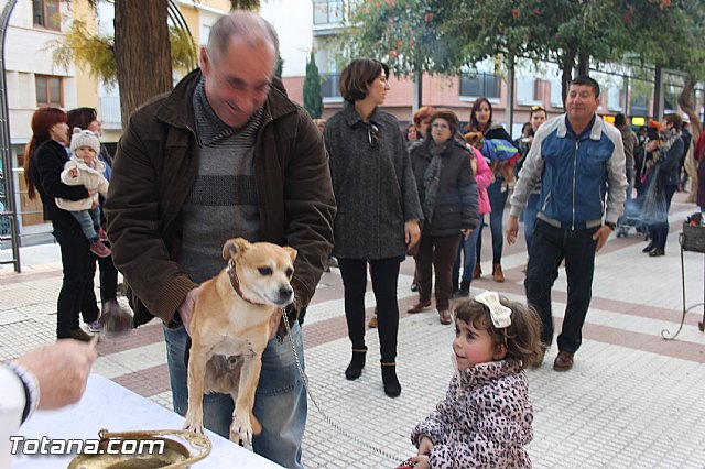 San Antn Totana 2016 - 77