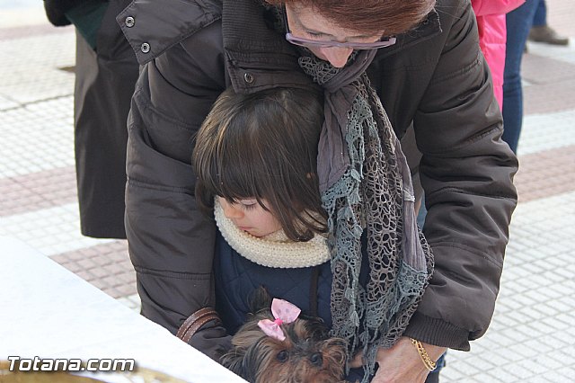 San Antn Totana 2016 - 81