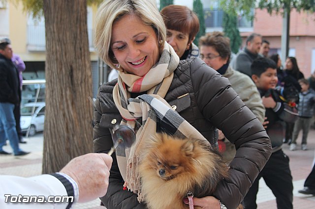 San Antn Totana 2016 - 85