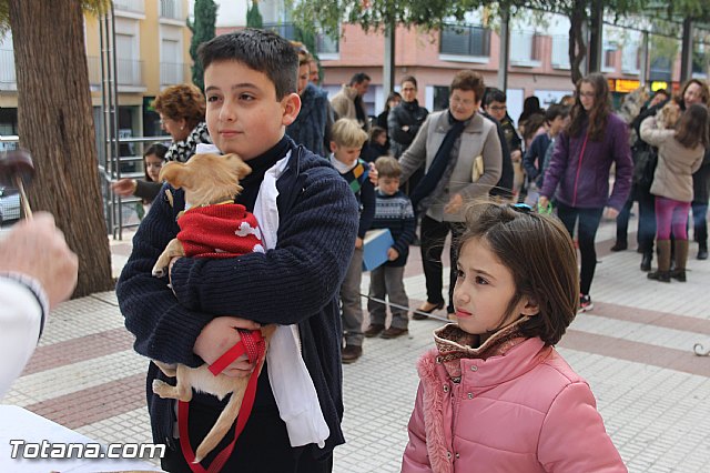 San Antn Totana 2016 - 89