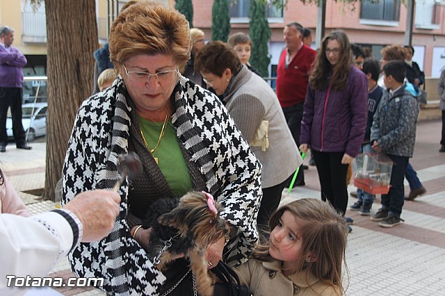 San Antn Totana 2016 - 90