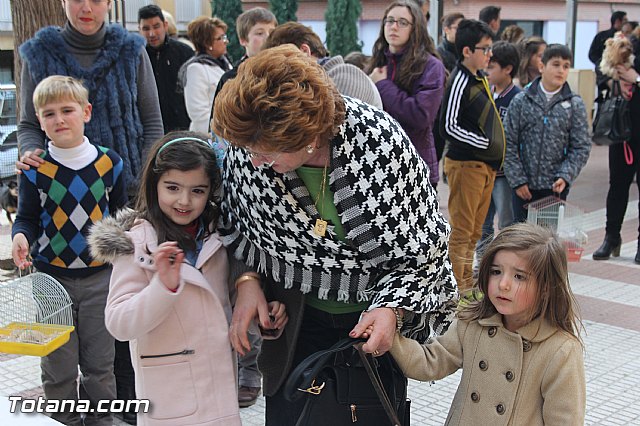 San Antn Totana 2016 - 91