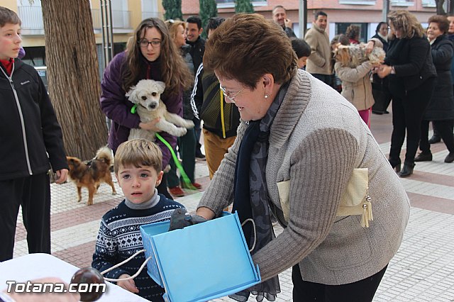 San Antn Totana 2016 - 94