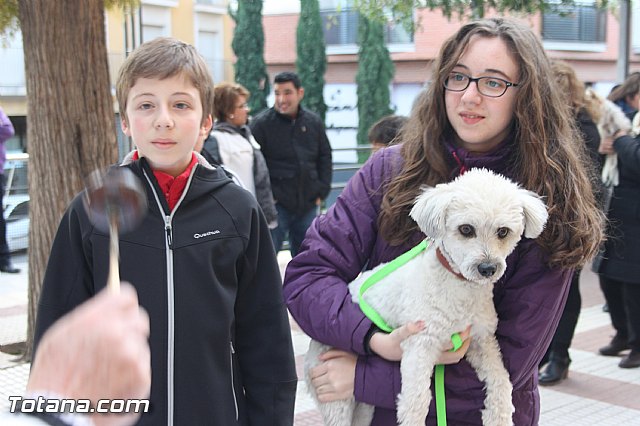 San Antn Totana 2016 - 96