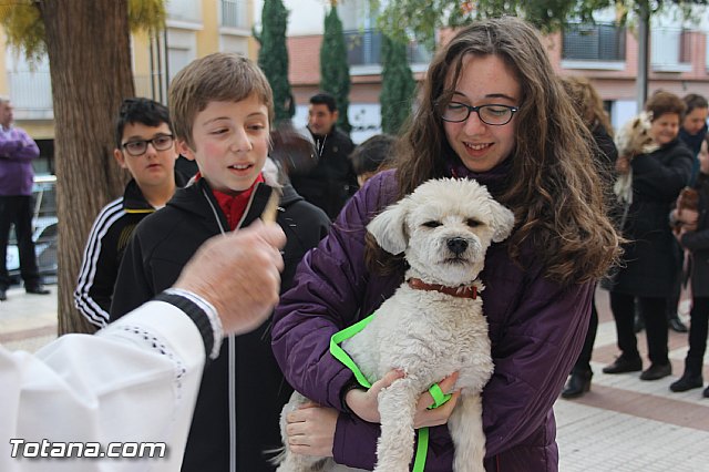 San Antn Totana 2016 - 97