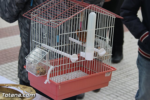 San Antn Totana 2016 - 99