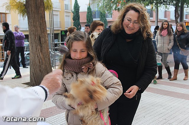 San Antn Totana 2016 - 100