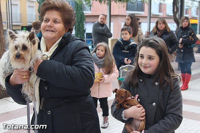 San Antn Totana 2016 - 101