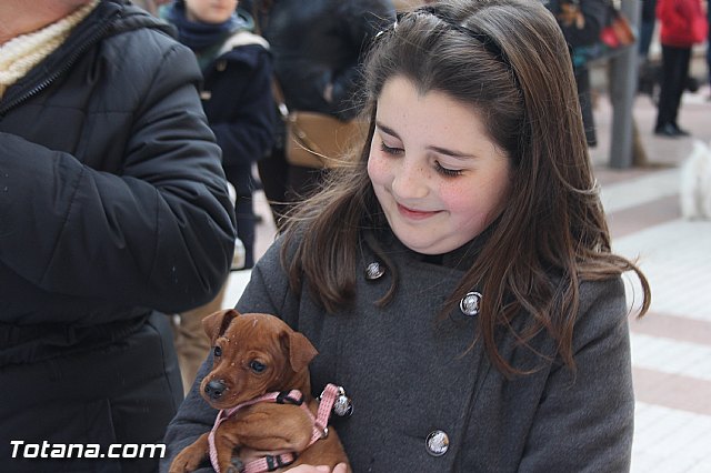 San Antn Totana 2016 - 103