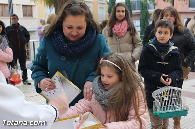 San Antn Totana 2016 - 104