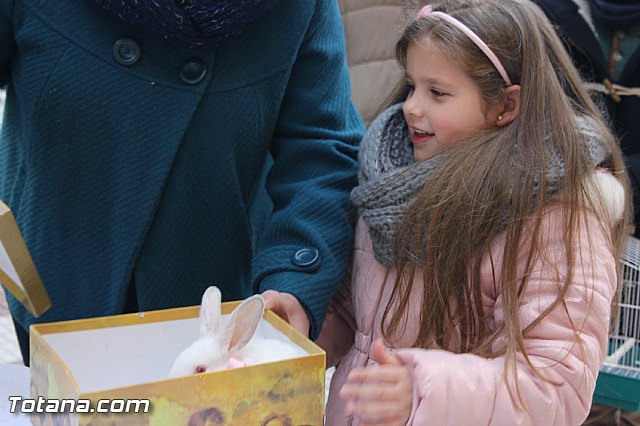 San Antn Totana 2016 - 105