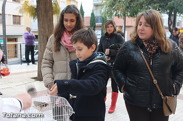 San Antn Totana 2016 - 106