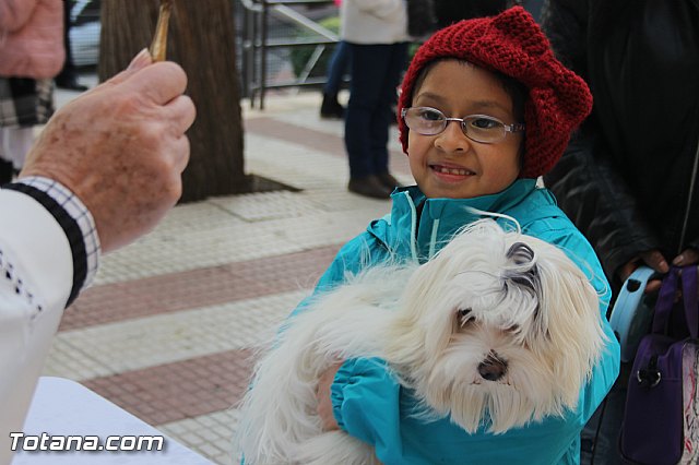 San Antn Totana 2016 - 108