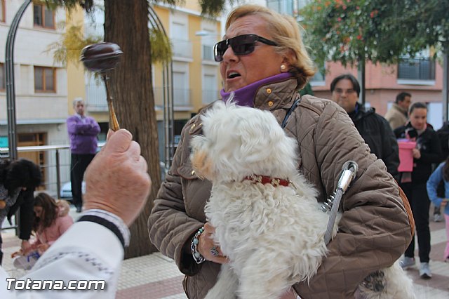 San Antn Totana 2016 - 110