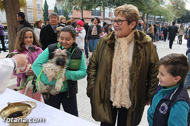 San Antn Totana 2016 - 114