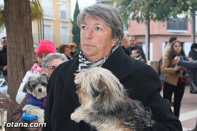 San Antn Totana 2016 - 116